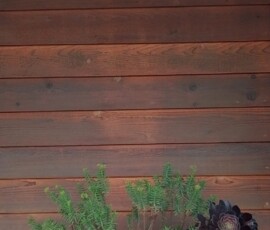 IMG_20231130_091822_HDR